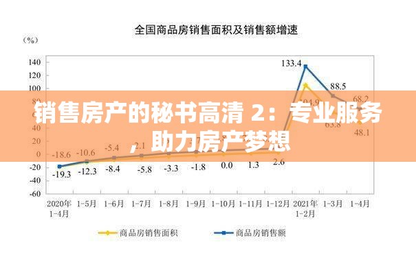 销售房产的秘书高清 2：专业服务，助力房产梦想