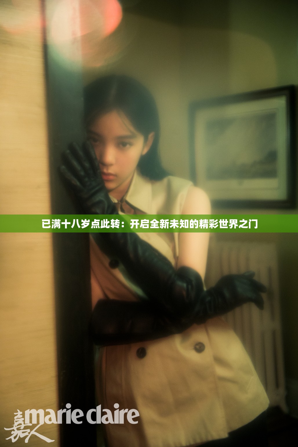 已满十八岁点此转：开启全新未知的精彩世界之门