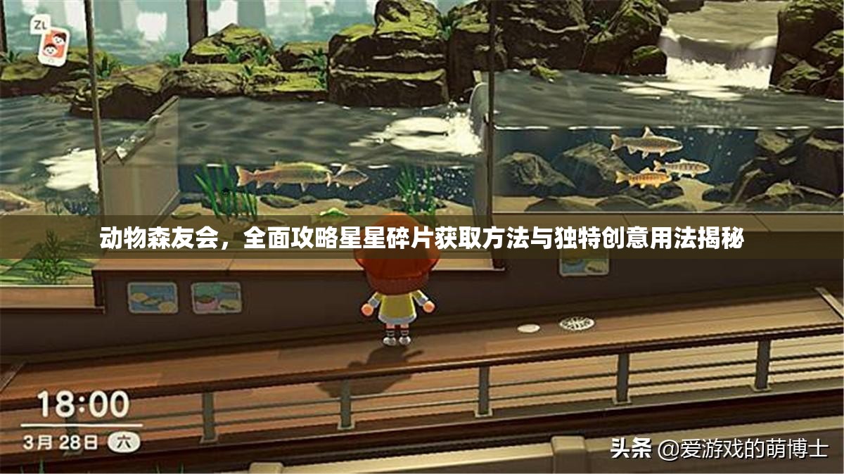 动物森友会，全面攻略星星碎片获取方法与独特创意用法揭秘