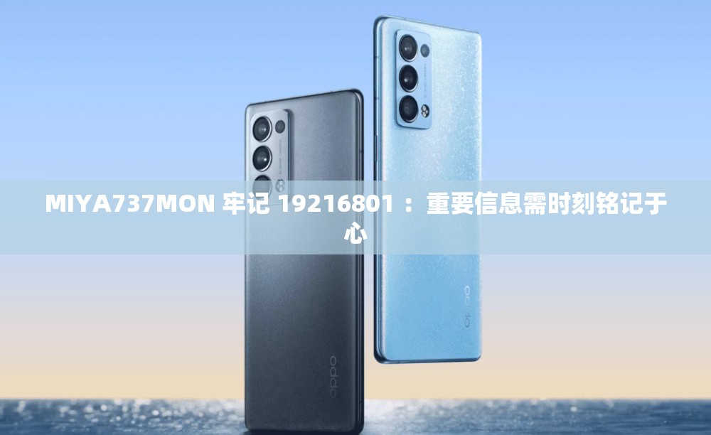 MIYA737MON 牢记 19216801 ：重要信息需时刻铭记于心