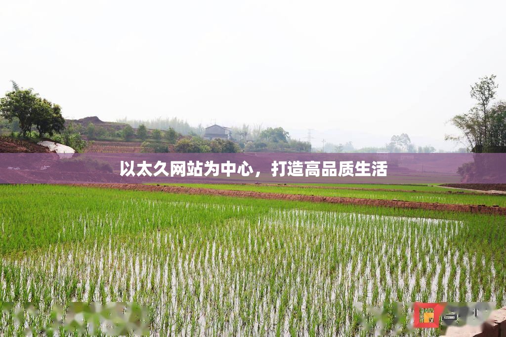 以太久网站为中心，打造高品质生活