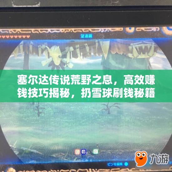 塞尔达传说荒野之息，高效赚钱技巧揭秘，扔雪球刷钱秘籍大公开