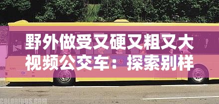 野外做受又硬又粗又大视频公交车：探索别样刺激之旅
