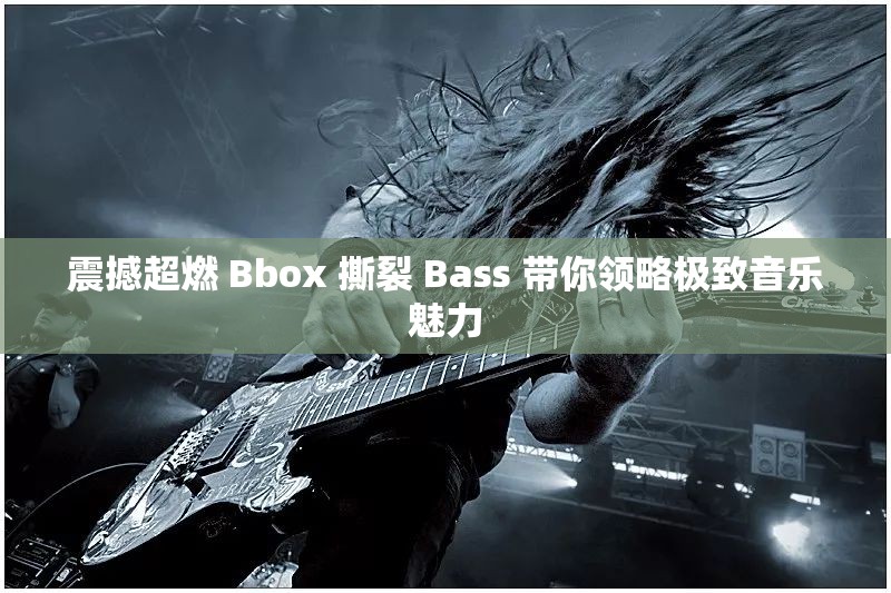 震撼超燃 Bbox 撕裂 Bass 带你领略极致音乐魅力