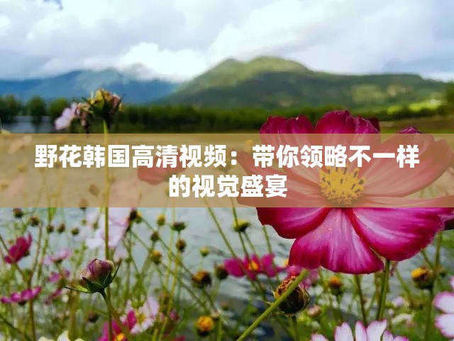 野花韩国高清视频：带你领略不一样的视觉盛宴