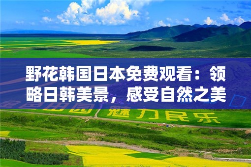 野花韩国日本免费观看：领略日韩美景，感受自然之美