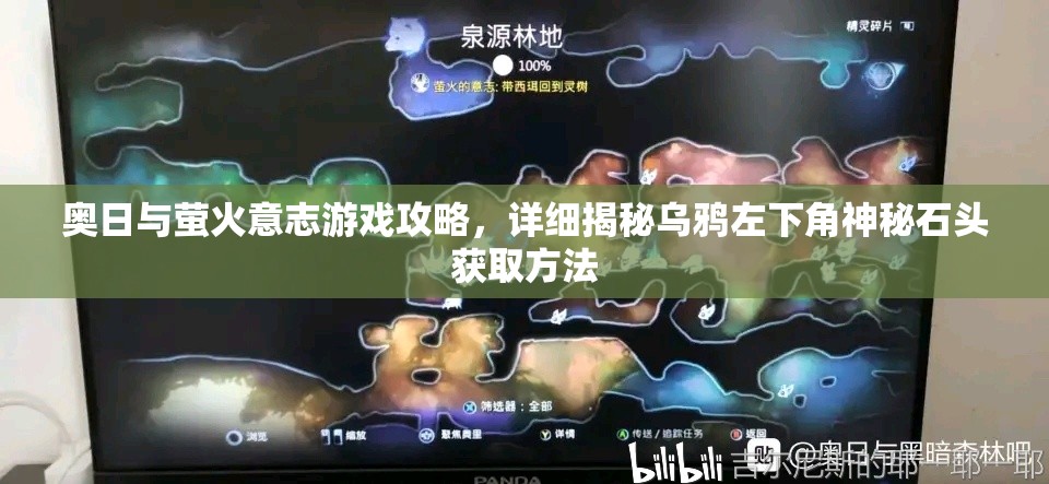奥日与萤火意志游戏攻略，详细揭秘乌鸦左下角神秘石头获取方法