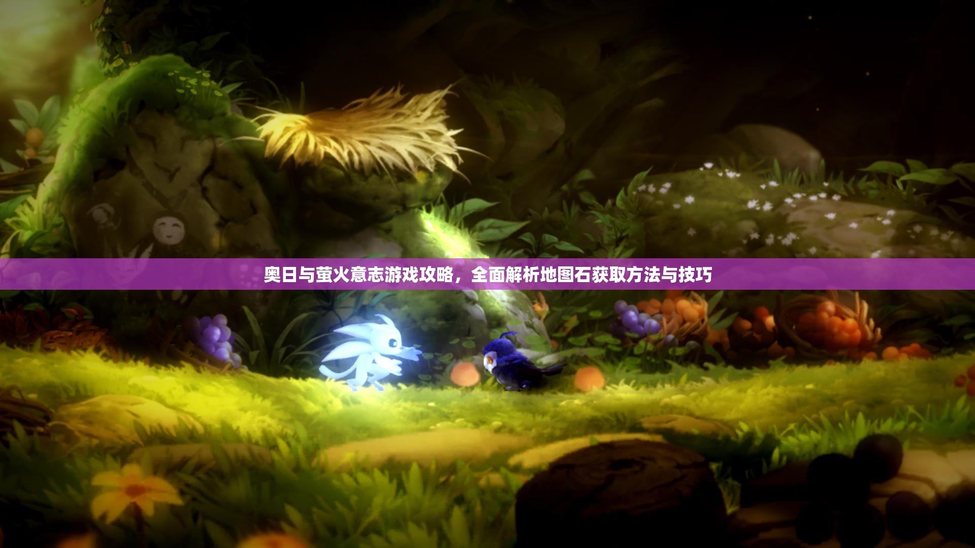 奥日与萤火意志游戏攻略，全面解析地图石获取方法与技巧