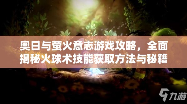 奥日与萤火意志游戏攻略，全面揭秘火球术技能获取方法与秘籍