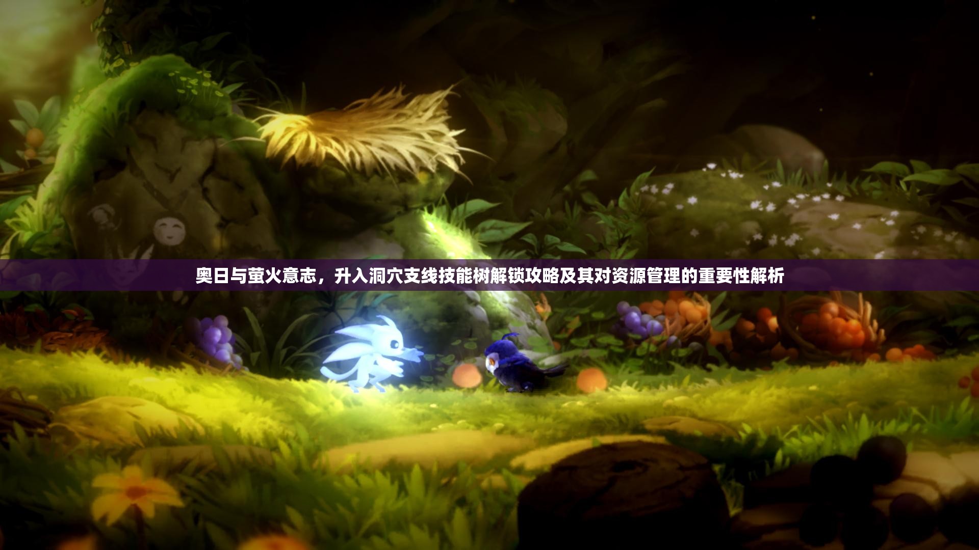 奥日与萤火意志，升入洞穴支线技能树解锁攻略及其对资源管理的重要性解析