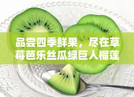 品尝四季鲜果，尽在草莓芭乐丝瓜绿巨人榴莲 2024 最新版