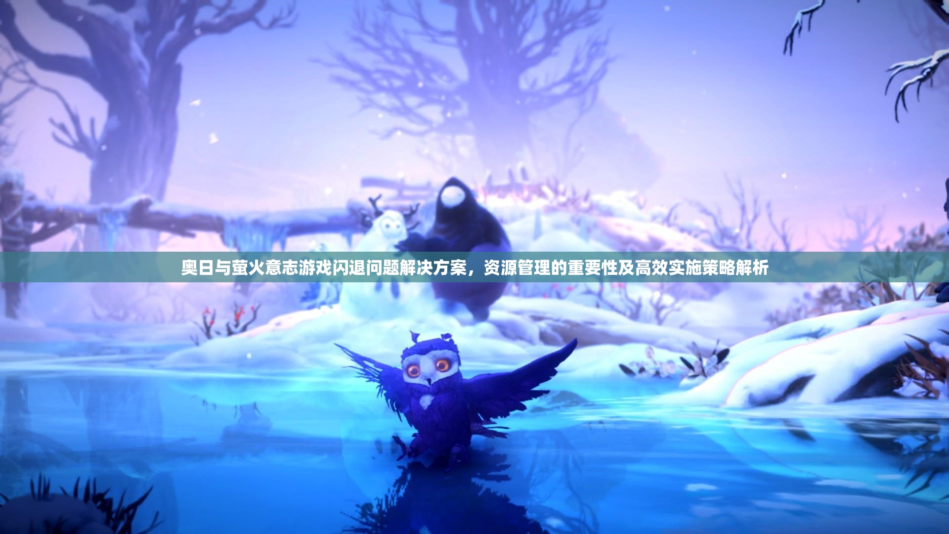 奥日与萤火意志游戏闪退问题解决方案，资源管理的重要性及高效实施策略解析