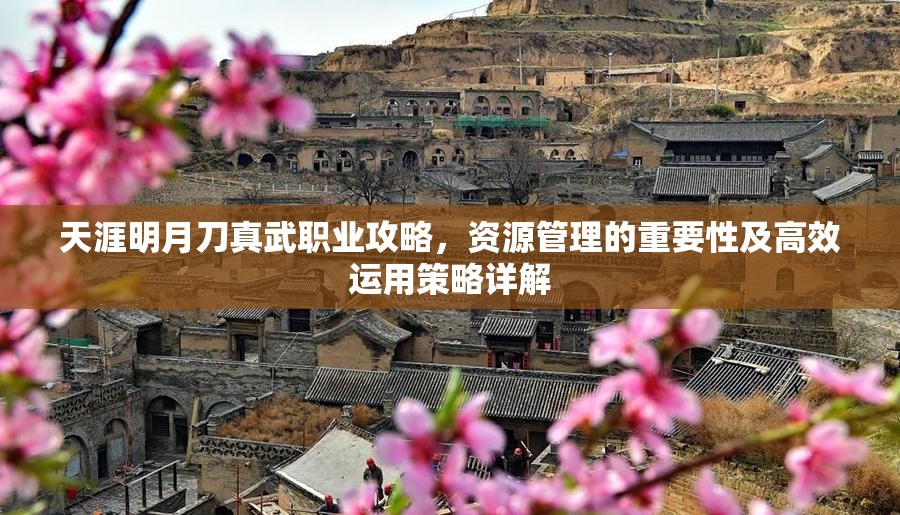 天涯明月刀真武职业攻略，资源管理的重要性及高效运用策略详解