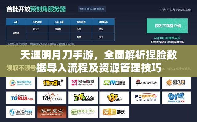 天涯明月刀手游，全面解析捏脸数据导入流程及资源管理技巧