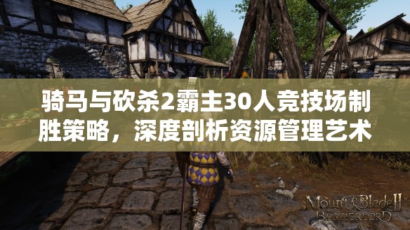 骑马与砍杀2霸主30人竞技场制胜策略，深度剖析资源管理艺术