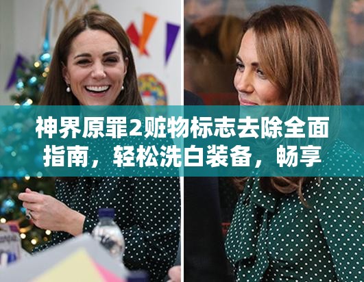 神界原罪2赃物标志去除全面指南，轻松洗白装备，畅享无拘无束游戏乐趣