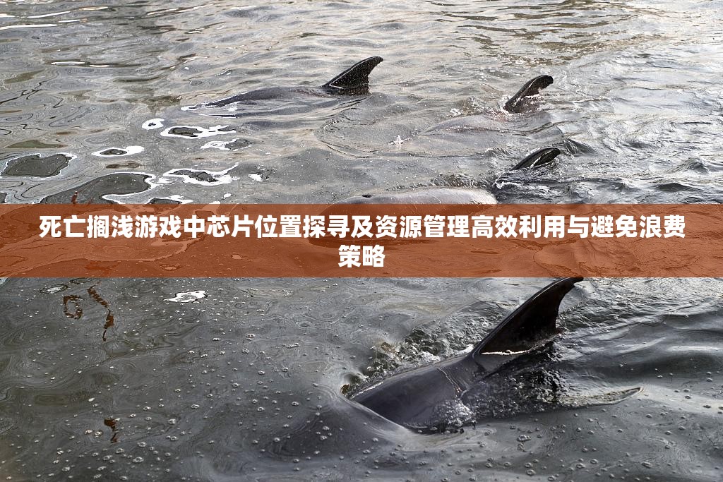 死亡搁浅游戏中芯片位置探寻及资源管理高效利用与避免浪费策略