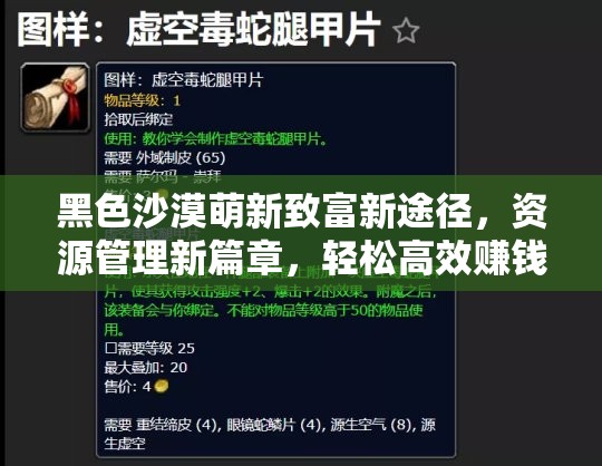 黑色沙漠萌新致富新途径，资源管理新篇章，轻松高效赚钱攻略