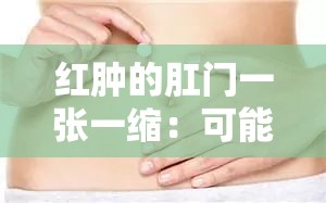 红肿的肛门一张一缩：可能的健康问题