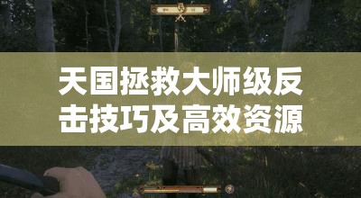 天国拯救大师级反击技巧及高效资源管理心得全解析