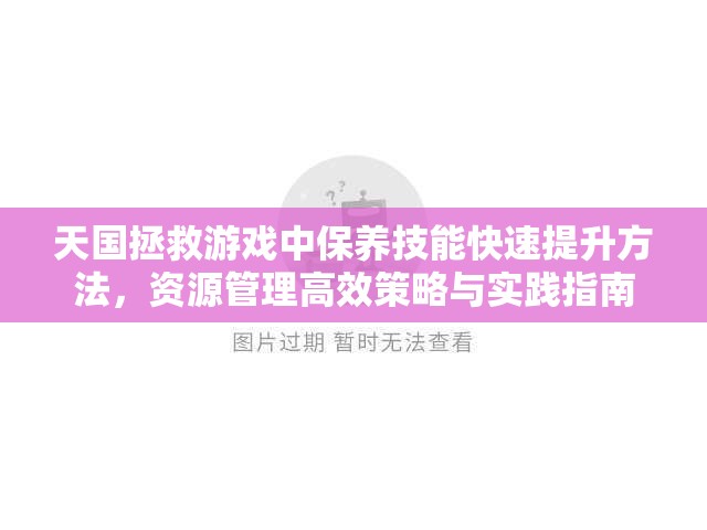 天国拯救游戏中保养技能快速提升方法，资源管理高效策略与实践指南