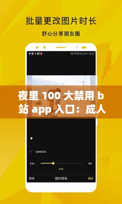 夜里 100 大禁用 b 站 app 入口：成人内容、伦理情节引发争议