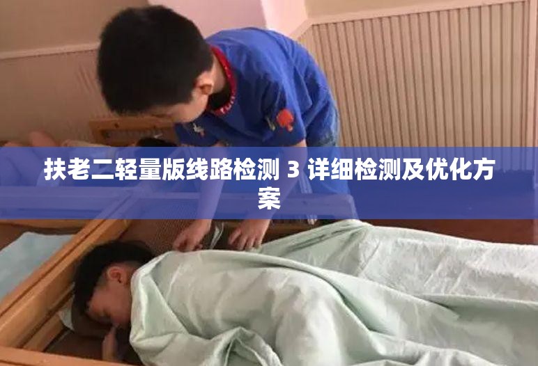 扶老二轻量版线路检测 3 详细检测及优化方案