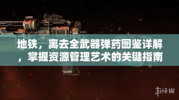地铁，离去全武器弹药图鉴详解，掌握资源管理艺术的关键指南