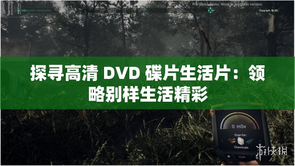 探寻高清 DVD 碟片生活片：领略别样生活精彩