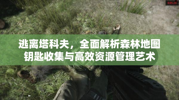 逃离塔科夫，全面解析森林地图钥匙收集与高效资源管理艺术