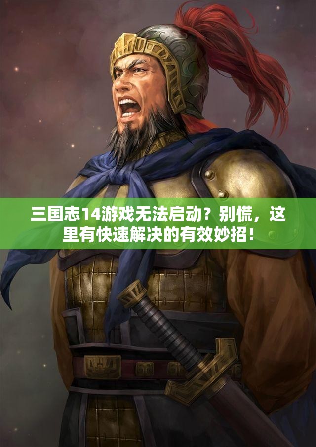 三国志14游戏无法启动？别慌，这里有快速解决的有效妙招！