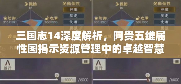 三国志14深度解析，阿贵五维属性图揭示资源管理中的卓越智慧之光