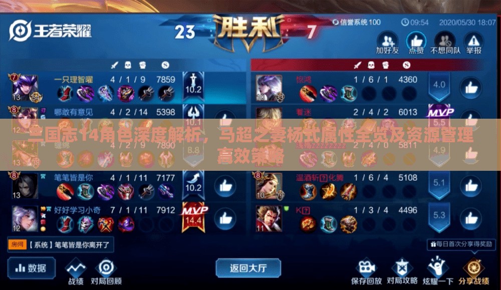 三国志14角色深度解析，马超之妻杨式属性全览及资源管理高效策略