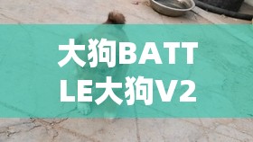 大狗BATTLE大狗V2RAY：一场激烈的技术对决与较量