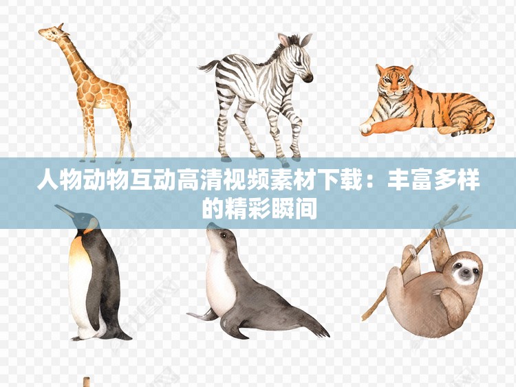 人物动物互动高清视频素材下载：丰富多样的精彩瞬间
