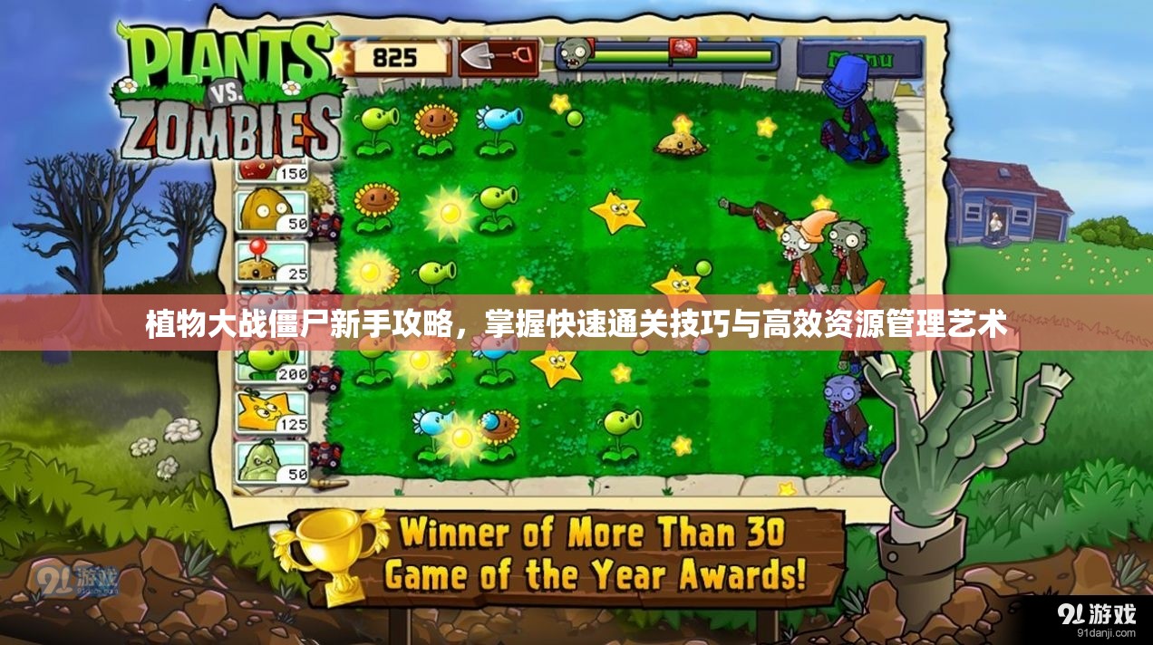 植物大战僵尸新手攻略，掌握快速通关技巧与高效资源管理艺术