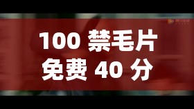 100 禁毛片免费 40 分钟视频在线：精彩不容错过