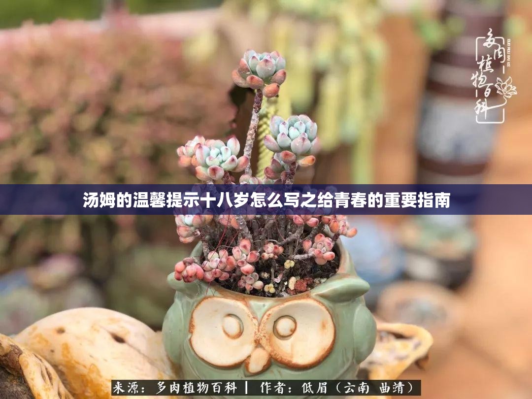 汤姆的温馨提示十八岁怎么写之给青春的重要指南