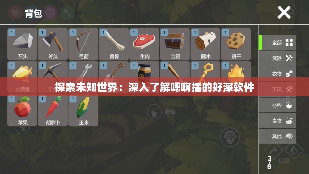 探索未知世界：深入了解嗯啊插的好深软件