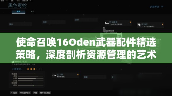 使命召唤16Oden武器配件精选策略，深度剖析资源管理的艺术