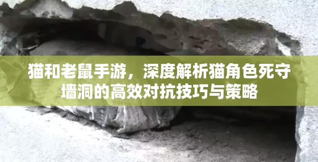 猫和老鼠手游，深度解析猫角色死守墙洞的高效对抗技巧与策略