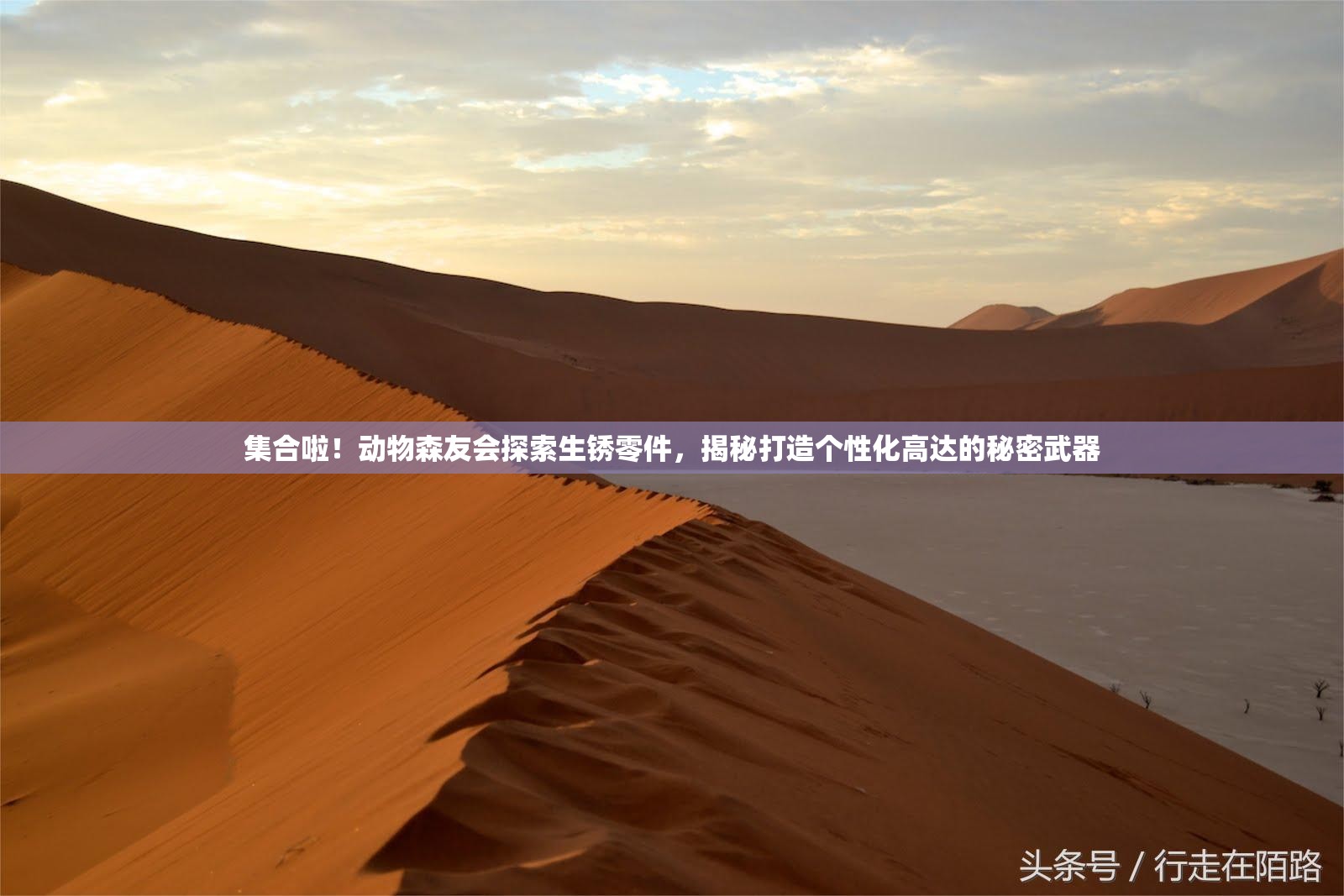 集合啦！动物森友会探索生锈零件，揭秘打造个性化高达的秘密武器