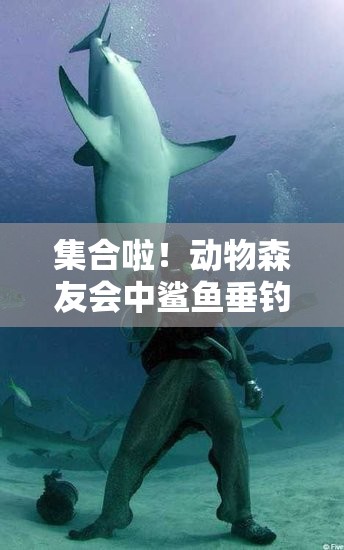 集合啦！动物森友会中鲨鱼垂钓全攻略，资源管理技巧与最大化垂钓价值