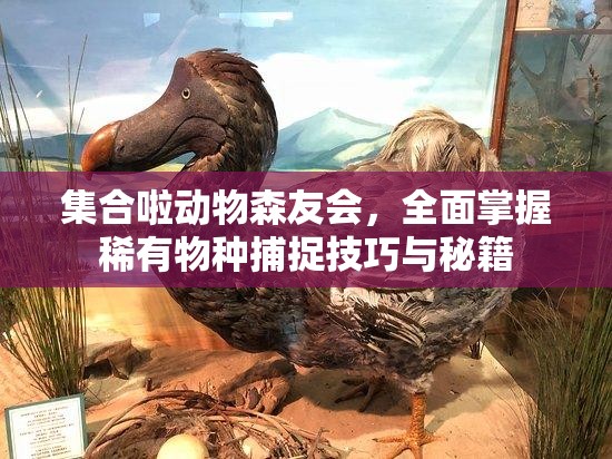 集合啦动物森友会，全面掌握稀有物种捕捉技巧与秘籍