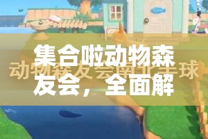 集合啦动物森友会，全面解析南北半球珍稀鱼类垂钓技巧与指南