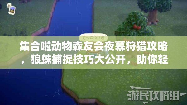集合啦动物森友会夜幕狩猎攻略，狼蛛捕捉技巧大公开，助你轻松赚取海量游戏币
