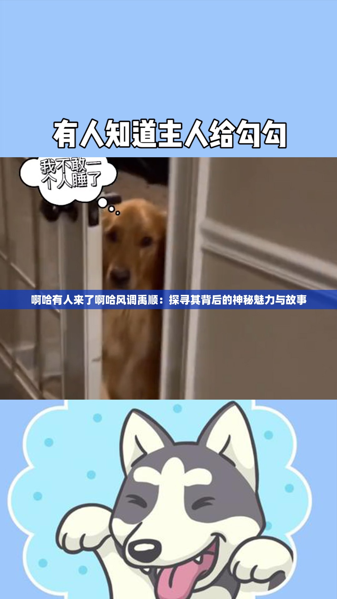 啊哈有人来了啊哈风调禹顺：探寻其背后的神秘魅力与故事