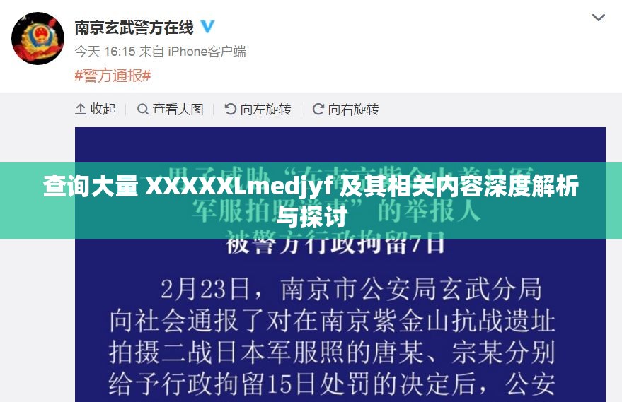 查询大量 XXXXXLmedjyf 及其相关内容深度解析与探讨