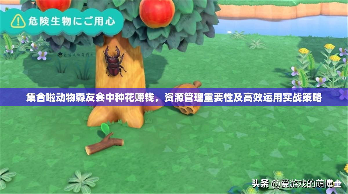 集合啦动物森友会中种花赚钱，资源管理重要性及高效运用实战策略