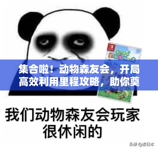 集合啦！动物森友会，开局高效利用里程攻略，助你奠定梦幻岛屿建设基石